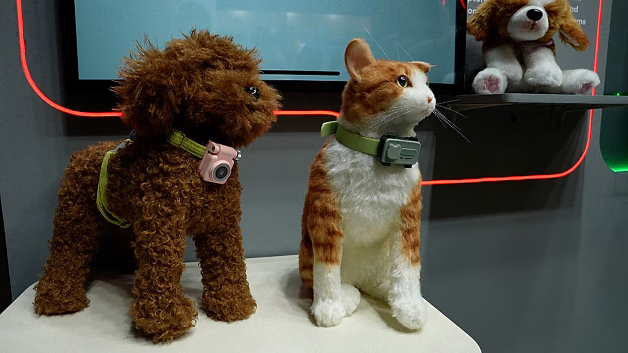 Evcil hayvanınız artık sizi telefonla arayabilecek