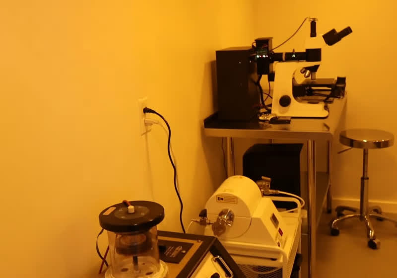 Dr. Semiconductor, Arka Bahçede Class 100 Temiz Oda Kurdu